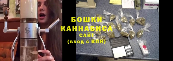 индика Вязьма