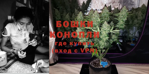 apvp Инта