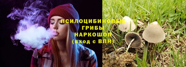 хмурый Алексин
