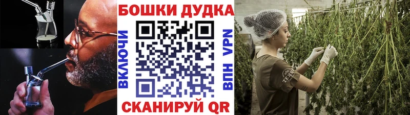 Шишки марихуана SATIVA & INDICA  hydra   Инза 